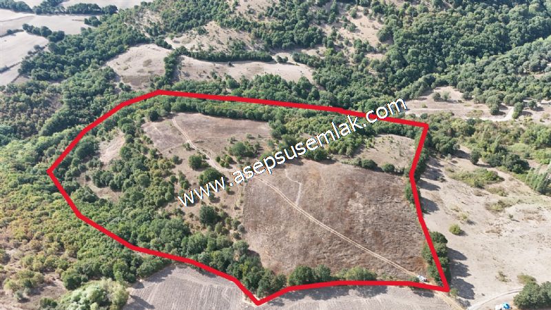 71.030 m2 Yatırımlık Tarla Bağ Bahçe Hobi Bahçesi Resmi Yol Yok.