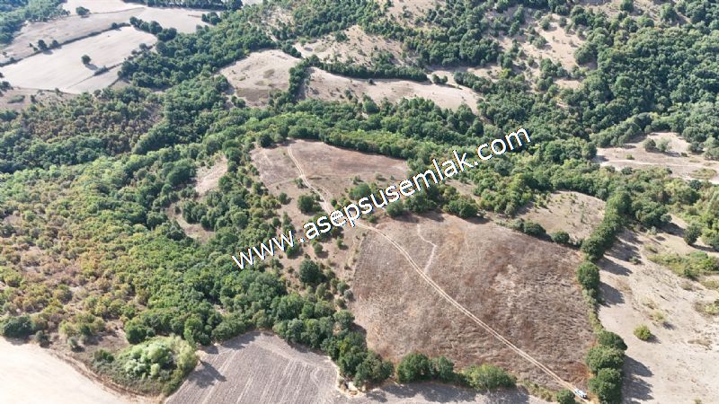 71.030 m2 Yatırımlık Tarla Bağ Bahçe Hobi Bahçesi Resmi Yol Yok.