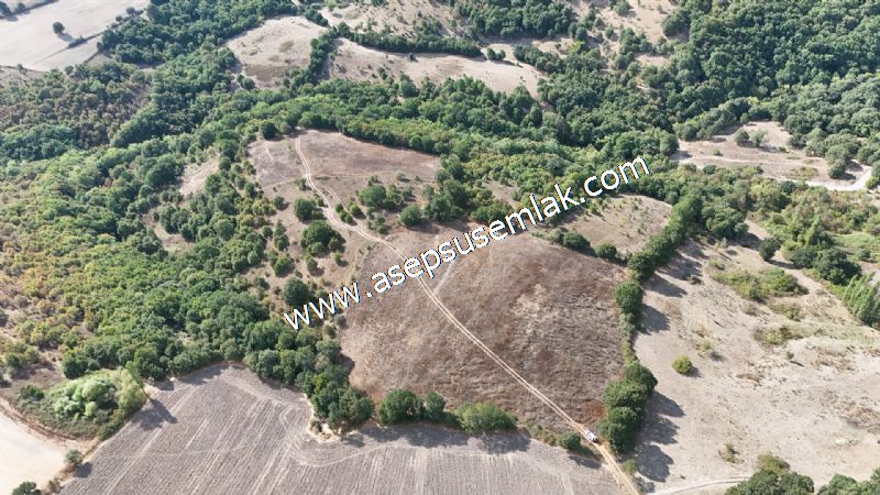 71.030 m2 Yatırımlık Tarla Bağ Bahçe Hobi Bahçesi Resmi Yol Yok.