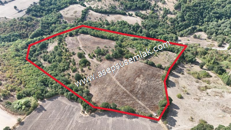 71.030 m2 Yatırımlık Tarla Bağ Bahçe Hobi Bahçesi Resmi Yol Yok.
