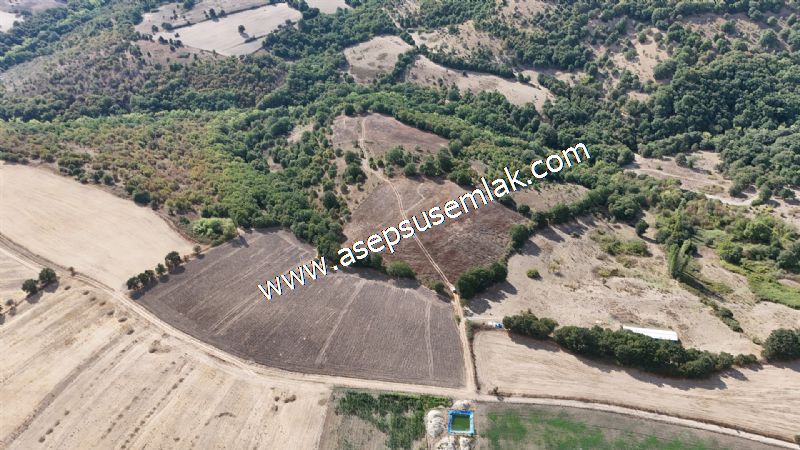 71.030 m2 Yatırımlık Tarla Bağ Bahçe Hobi Bahçesi Resmi Yol Yok.