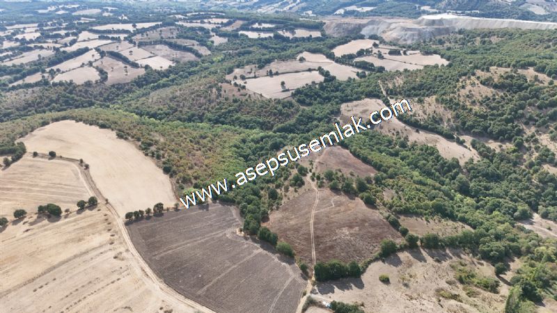 71.030 m2 Yatırımlık Tarla Bağ Bahçe Hobi Bahçesi Resmi Yol Yok.