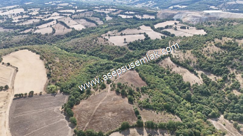 71.030 m2 Yatırımlık Tarla Bağ Bahçe Hobi Bahçesi Resmi Yol Yok.