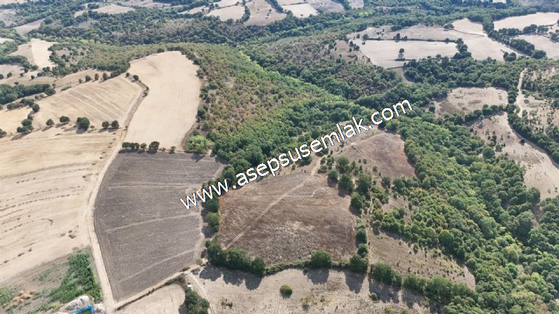 71.030 m2 Yatırımlık Tarla Bağ Bahçe Hobi Bahçesi Resmi Yol Yok.