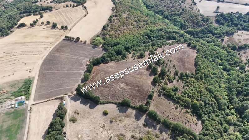 71.030 m2 Yatırımlık Tarla Bağ Bahçe Hobi Bahçesi Resmi Yol Yok.