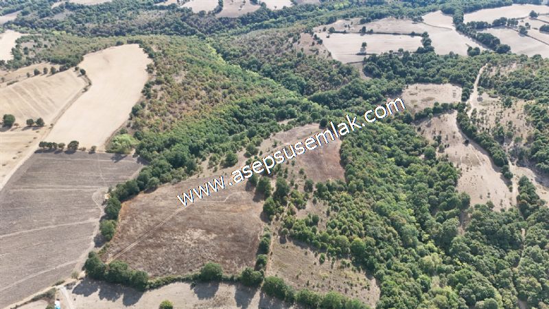 71.030 m2 Yatırımlık Tarla Bağ Bahçe Hobi Bahçesi Resmi Yol Yok.