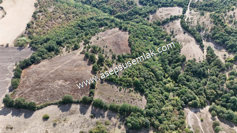 71.030 m2 Yatırımlık Tarla Bağ Bahçe Hobi Bahçesi Resmi Yol Yok.