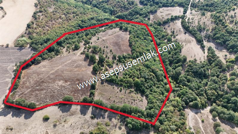 71.030 m2 Yatırımlık Tarla Bağ Bahçe Hobi Bahçesi Resmi Yol Yok.