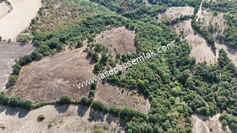 71.030 m2 Yatırımlık Tarla Bağ Bahçe Hobi Bahçesi Resmi Yol Yok.