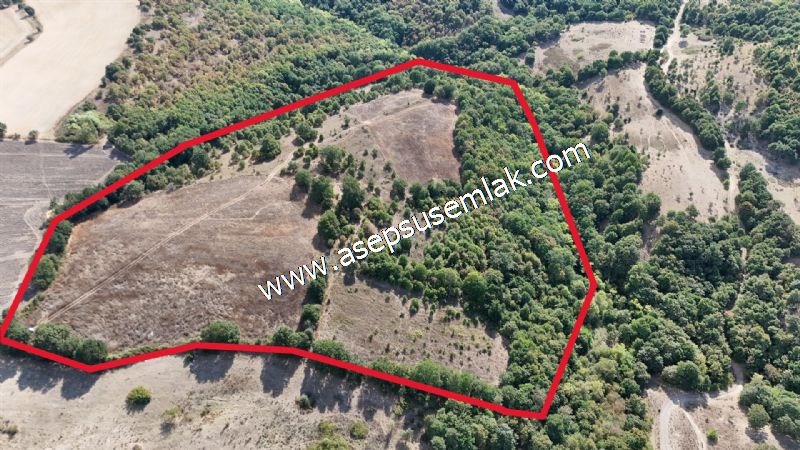71.030 m2 Yatırımlık Tarla Bağ Bahçe Hobi Bahçesi Resmi Yol Yok.