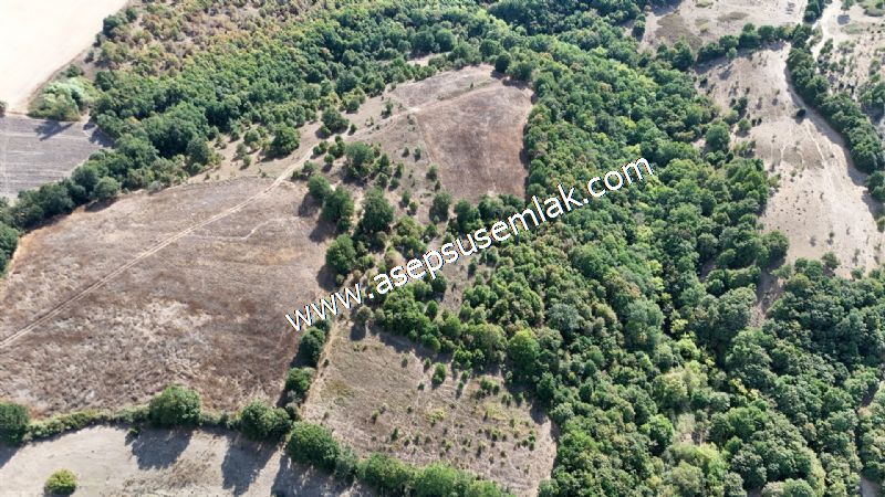 71.030 m2 Yatırımlık Tarla Bağ Bahçe Hobi Bahçesi Resmi Yol Yok.