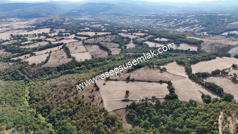 71.030 m2 Yatırımlık Tarla Bağ Bahçe Hobi Bahçesi Resmi Yol Yok.
