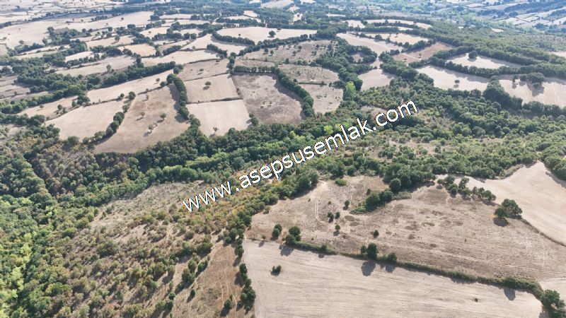 71.030 m2 Yatırımlık Tarla Bağ Bahçe Hobi Bahçesi Resmi Yol Yok.