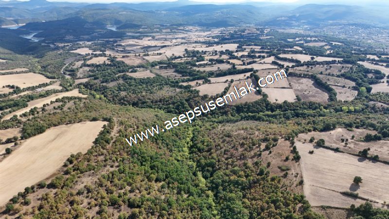 71.030 m2 Yatırımlık Tarla Bağ Bahçe Hobi Bahçesi Resmi Yol Yok.