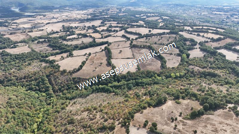 71.030 m2 Yatırımlık Tarla Bağ Bahçe Hobi Bahçesi Resmi Yol Yok.