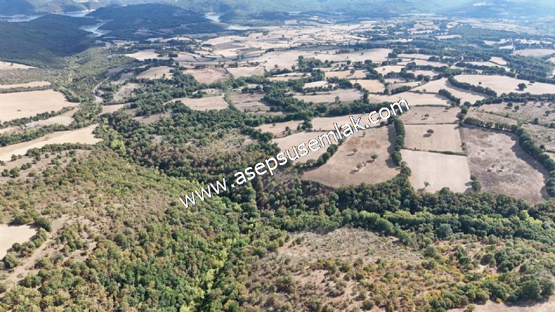 71.030 m2 Yatırımlık Tarla Bağ Bahçe Hobi Bahçesi Resmi Yol Yok.