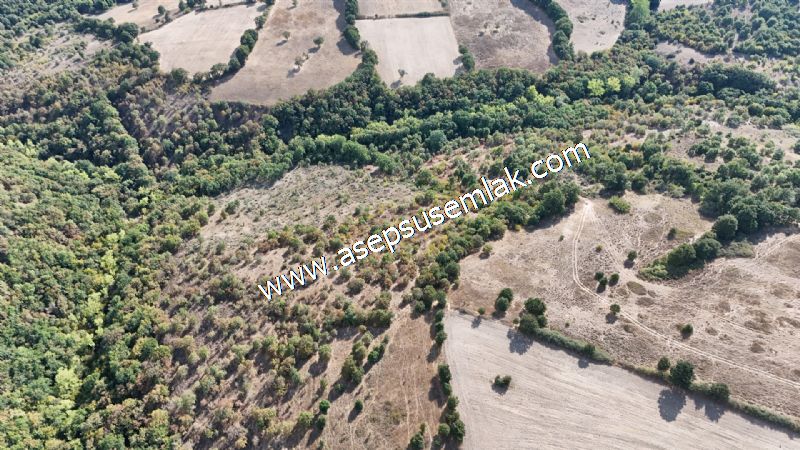 71.030 m2 Yatırımlık Tarla Bağ Bahçe Hobi Bahçesi Resmi Yol Yok.