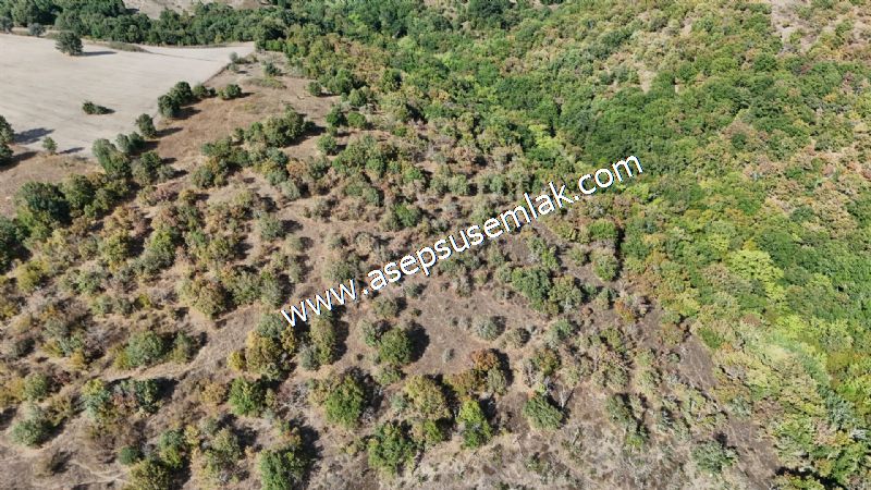 71.030 m2 Yatırımlık Tarla Bağ Bahçe Hobi Bahçesi Resmi Yol Yok.