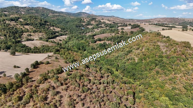 71.030 m2 Yatırımlık Tarla Bağ Bahçe Hobi Bahçesi Resmi Yol Yok.