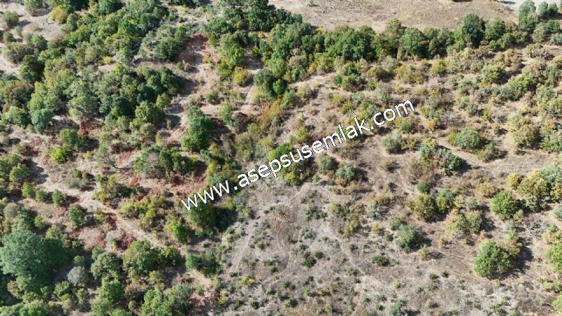 71.030 m2 Yatırımlık Tarla Bağ Bahçe Hobi Bahçesi Resmi Yol Yok.