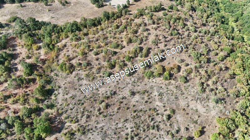 71.030 m2 Yatırımlık Tarla Bağ Bahçe Hobi Bahçesi Resmi Yol Yok.