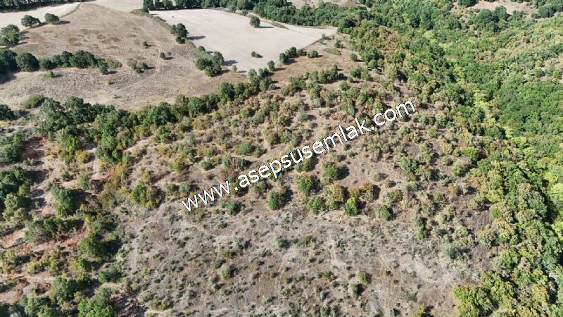 71.030 m2 Yatırımlık Tarla Bağ Bahçe Hobi Bahçesi Resmi Yol Yok.