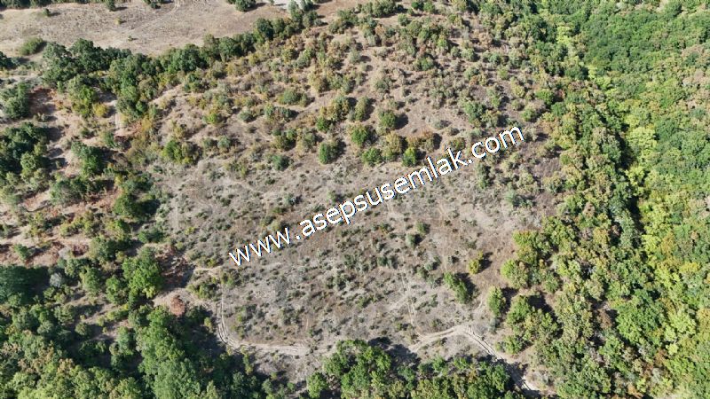 71.030 m2 Yatırımlık Tarla Bağ Bahçe Hobi Bahçesi Resmi Yol Yok.