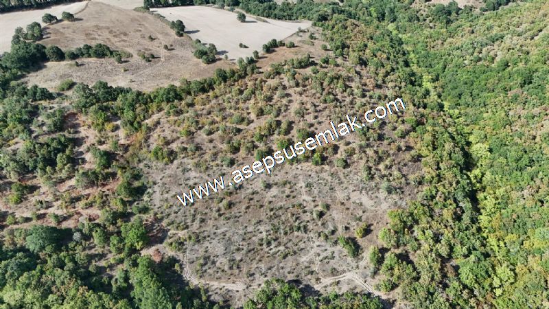 71.030 m2 Yatırımlık Tarla Bağ Bahçe Hobi Bahçesi Resmi Yol Yok.