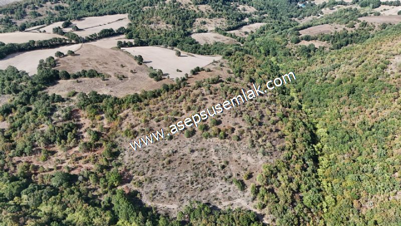 71.030 m2 Yatırımlık Tarla Bağ Bahçe Hobi Bahçesi Resmi Yol Yok.