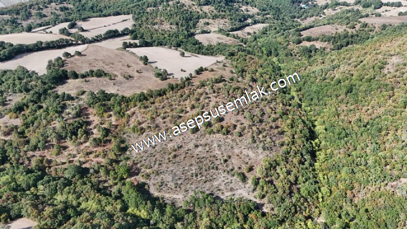 71.030 m2 Yatırımlık Tarla Bağ Bahçe Hobi Bahçesi Resmi Yol Yok.