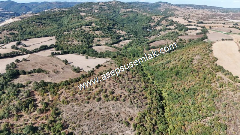 71.030 m2 Yatırımlık Tarla Bağ Bahçe Hobi Bahçesi Resmi Yol Yok.