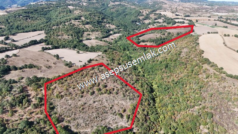71.030 m2 Yatırımlık Tarla Bağ Bahçe Hobi Bahçesi Resmi Yol Yok.