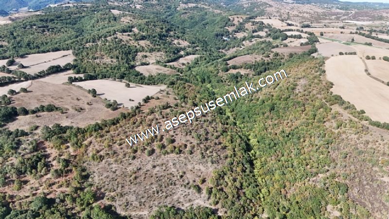 71.030 m2 Yatırımlık Tarla Bağ Bahçe Hobi Bahçesi Resmi Yol Yok.