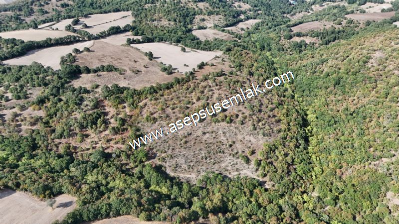 71.030 m2 Yatırımlık Tarla Bağ Bahçe Hobi Bahçesi Resmi Yol Yok.