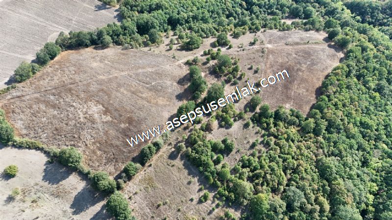71.030 m2 Yatırımlık Tarla Bağ Bahçe Hobi Bahçesi Resmi Yol Yok.
