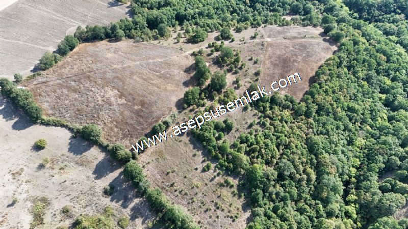 71.030 m2 Yatırımlık Tarla Bağ Bahçe Hobi Bahçesi Resmi Yol Yok.