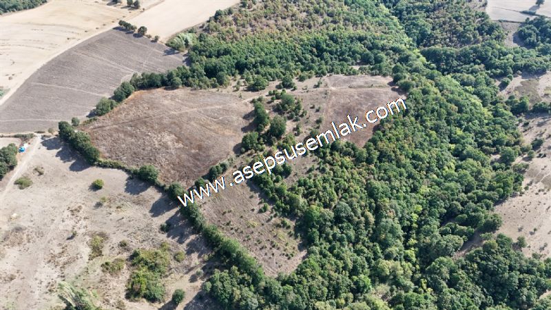 71.030 m2 Yatırımlık Tarla Bağ Bahçe Hobi Bahçesi Resmi Yol Yok.
