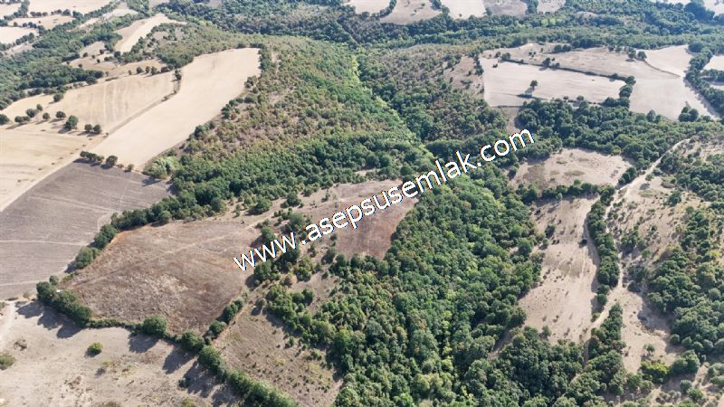 71.030 m2 Yatırımlık Tarla Bağ Bahçe Hobi Bahçesi Resmi Yol Yok.