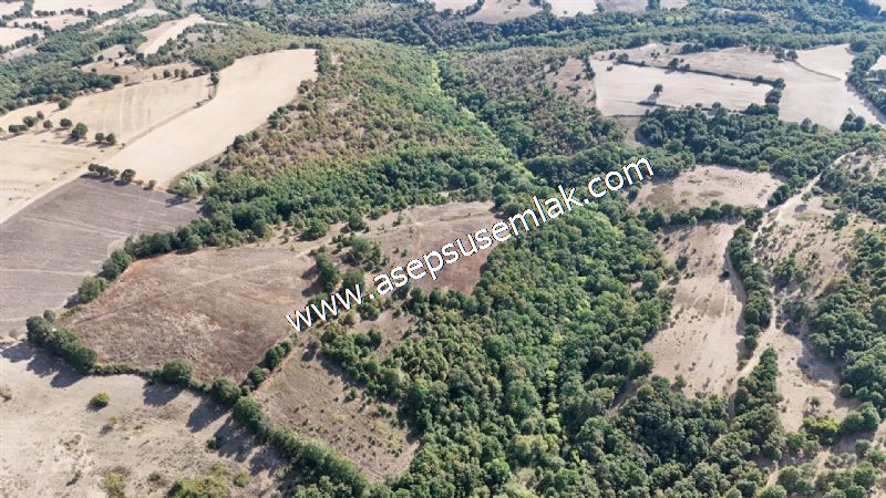 71.030 m2 Yatırımlık Tarla Bağ Bahçe Hobi Bahçesi Resmi Yol Yok.