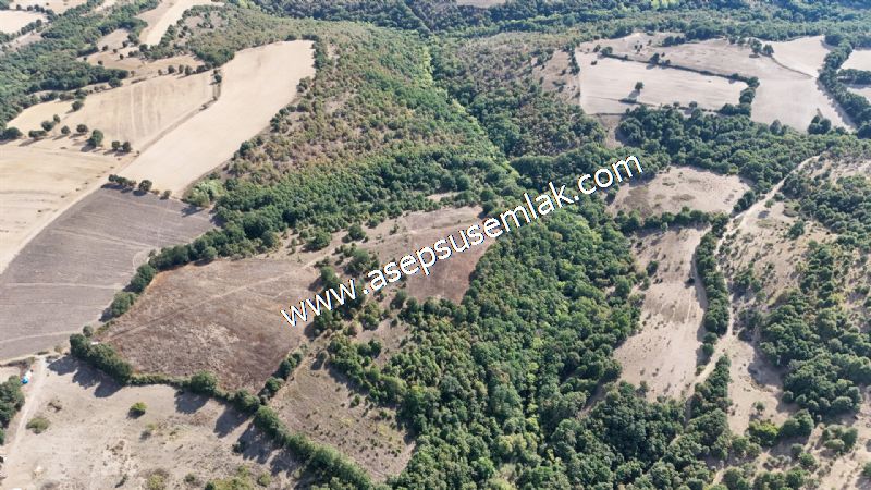 71.030 m2 Yatırımlık Tarla Bağ Bahçe Hobi Bahçesi Resmi Yol Yok.