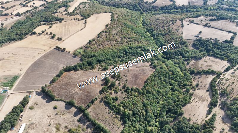 71.030 m2 Yatırımlık Tarla Bağ Bahçe Hobi Bahçesi Resmi Yol Yok.