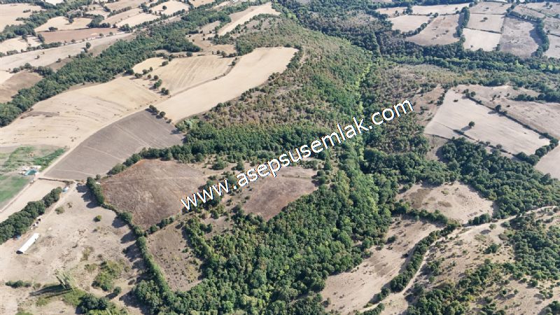 71.030 m2 Yatırımlık Tarla Bağ Bahçe Hobi Bahçesi Resmi Yol Yok.