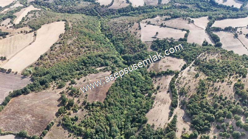 71.030 m2 Yatırımlık Tarla Bağ Bahçe Hobi Bahçesi Resmi Yol Yok.