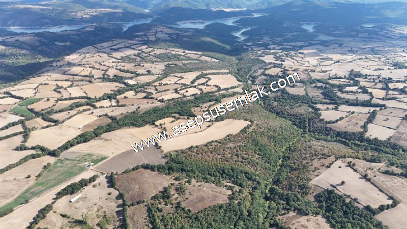 71.030 m2 Yatırımlık Tarla Bağ Bahçe Hobi Bahçesi Resmi Yol Yok.