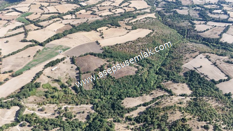 71.030 m2 Yatırımlık Tarla Bağ Bahçe Hobi Bahçesi Resmi Yol Yok.