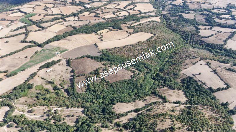 71.030 m2 Yatırımlık Tarla Bağ Bahçe Hobi Bahçesi Resmi Yol Yok.