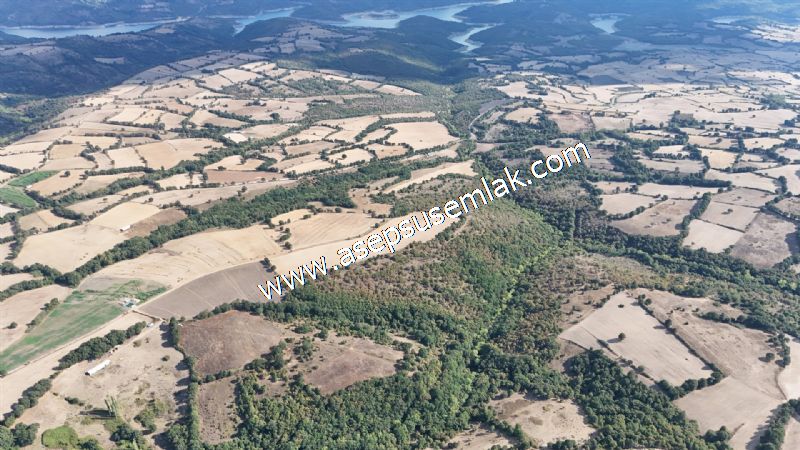 71.030 m2 Yatırımlık Tarla Bağ Bahçe Hobi Bahçesi Resmi Yol Yok.