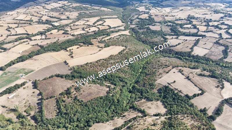 71.030 m2 Yatırımlık Tarla Bağ Bahçe Hobi Bahçesi Resmi Yol Yok.