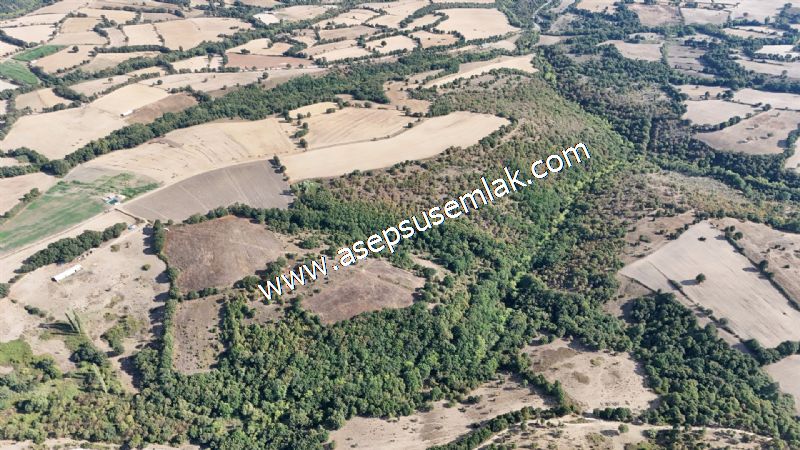 71.030 m2 Yatırımlık Tarla Bağ Bahçe Hobi Bahçesi Resmi Yol Yok.