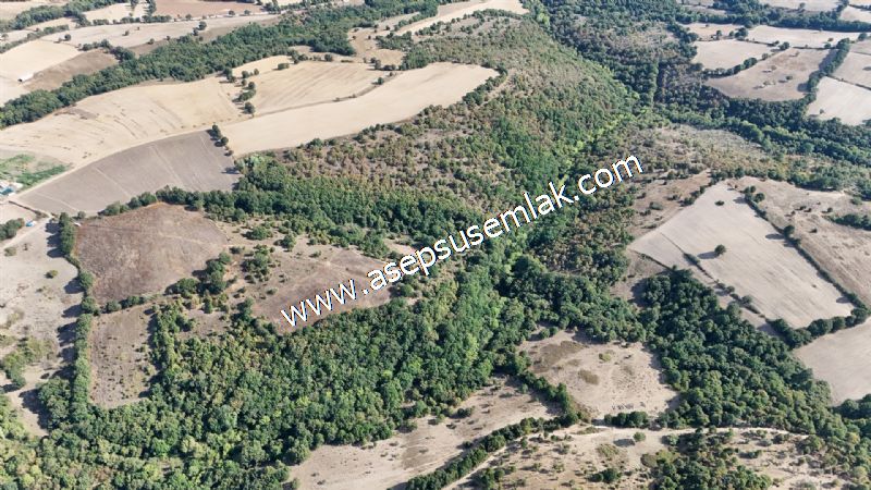 71.030 m2 Yatırımlık Tarla Bağ Bahçe Hobi Bahçesi Resmi Yol Yok.